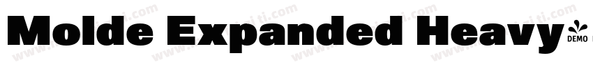 Molde Expanded Heavy字体转换